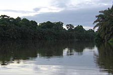 Tortuguero Photo Tour