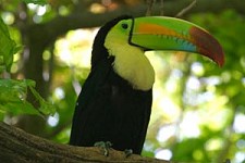 Mexico Tourist Guide