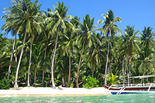 Cacnipa Island Photographic Tour