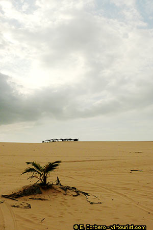 <a href='index.html'>Canoa Quebrada</a>, <a href='../../country/brazil.htm'>Brazil</a>