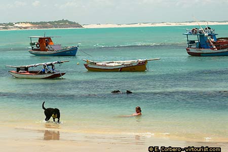 <a href='index.html'>Praia da Pipa</a>, <a href='../../country/brazil.htm'>Brazil</a>