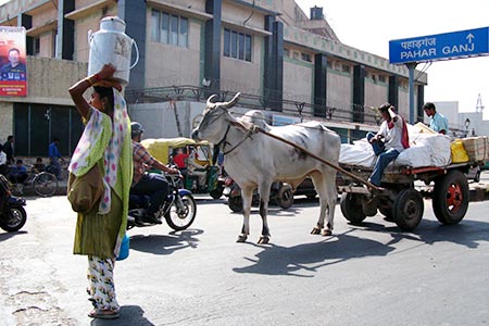 <a href='index.html'>Delhi</a>, <a href='../index.html'>India</a>