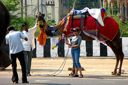 <a href='index.html'>Jaipur</a>, <a href='../index.html'>India</a>