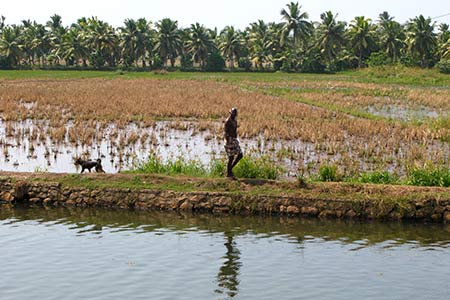 <a href='index.html'>Kerala</a>, <a href='../index.html'>India</a>