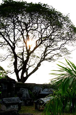 <a href='index.html'>Kochi</a>, <a href='../index.html'>India</a>