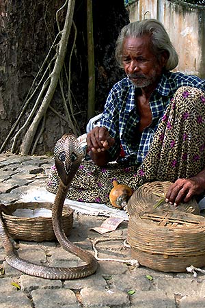 <a href='index.html'>Kochi</a>, <a href='../index.html'>India</a>