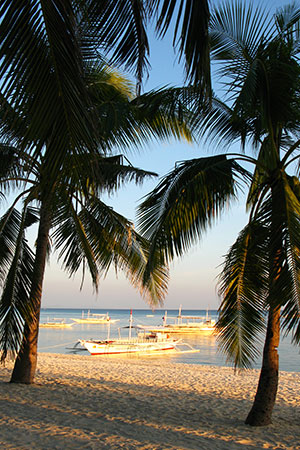 <a href='index.html'>Malapascua</a>, <a href='../index.html'>Philippines</a>