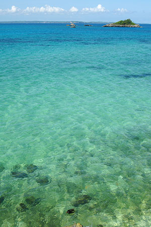 <a href='index.html'>Malapascua</a>, <a href='../index.html'>Philippines</a>