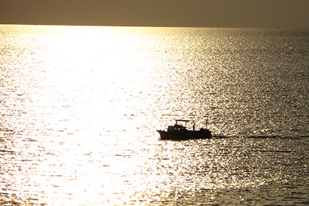 <a href='index.html'>Latakia</a>, <a href='../index.html'>Syria</a>