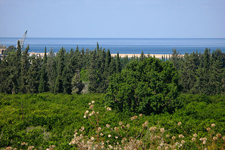 <a href='index.html'>Latakia</a>, <a href='../index.html'>Syria</a>