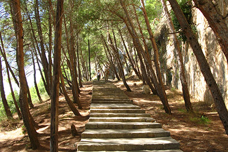 <a href='index.html'>Latakia</a>, <a href='../index.html'>Syria</a>