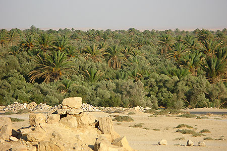 <a href='index.html'>Palmyra</a>, <a href='../index.html'>Syria</a>