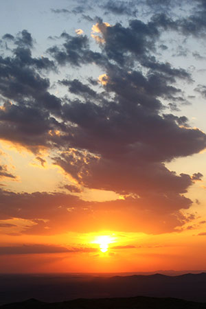 <a href='index.html'>Palmyra</a>, <a href='../index.html'>Syria</a>